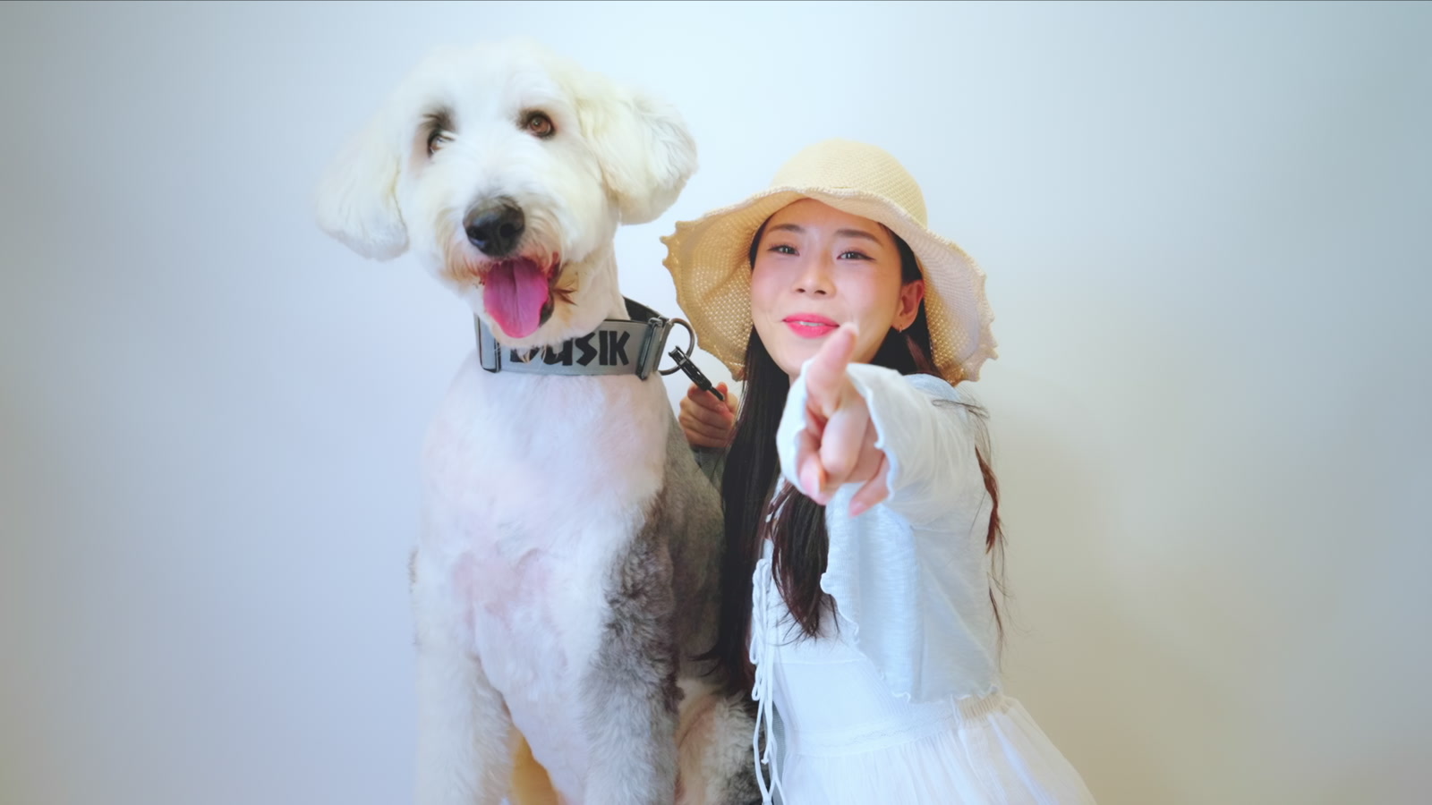 멍멍네컷 브랜드 필름의 반려견과 모델 촬영 장면